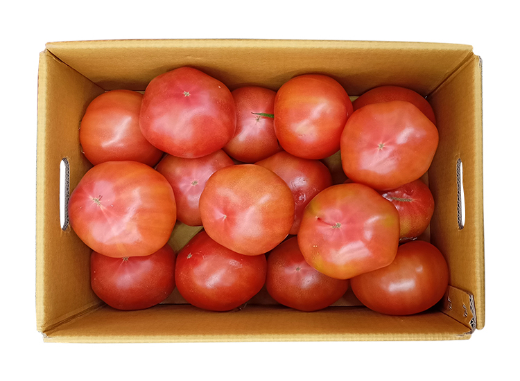 토마토2.5kg내외/국내산