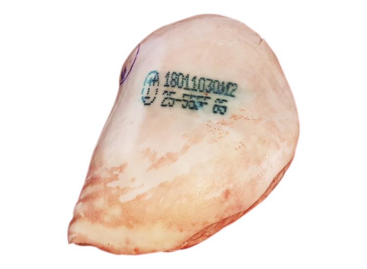 생후지(국내산,수육용)100g