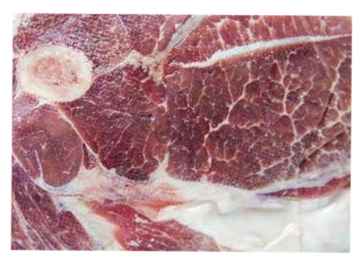 돼지냉동앞다리살(국내산,불고기용)3Kg