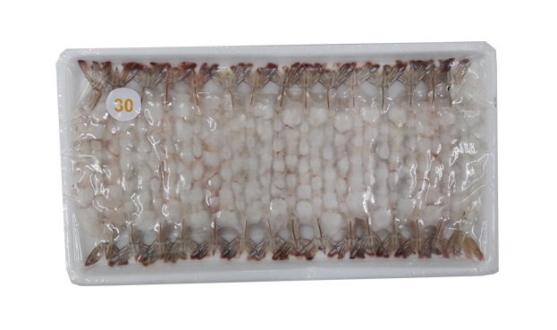 노바시새우30미