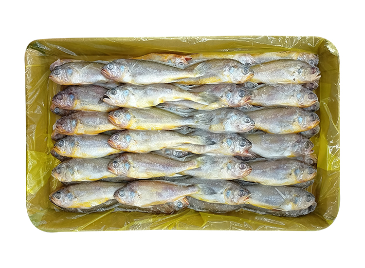 참조기100/150 2.5kg-box