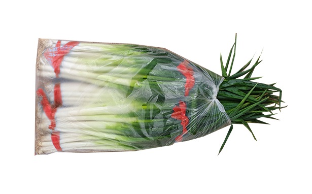 .농산)대파5단-특/봉