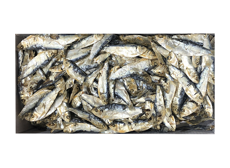 띠포리(국산)21000