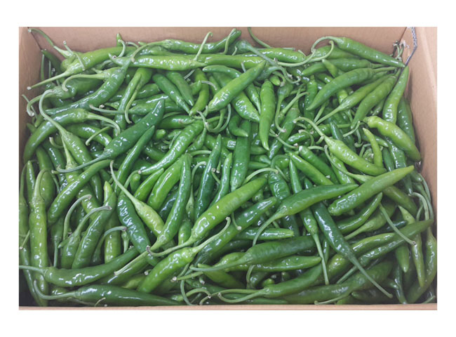 .농산)청량고추-특/box