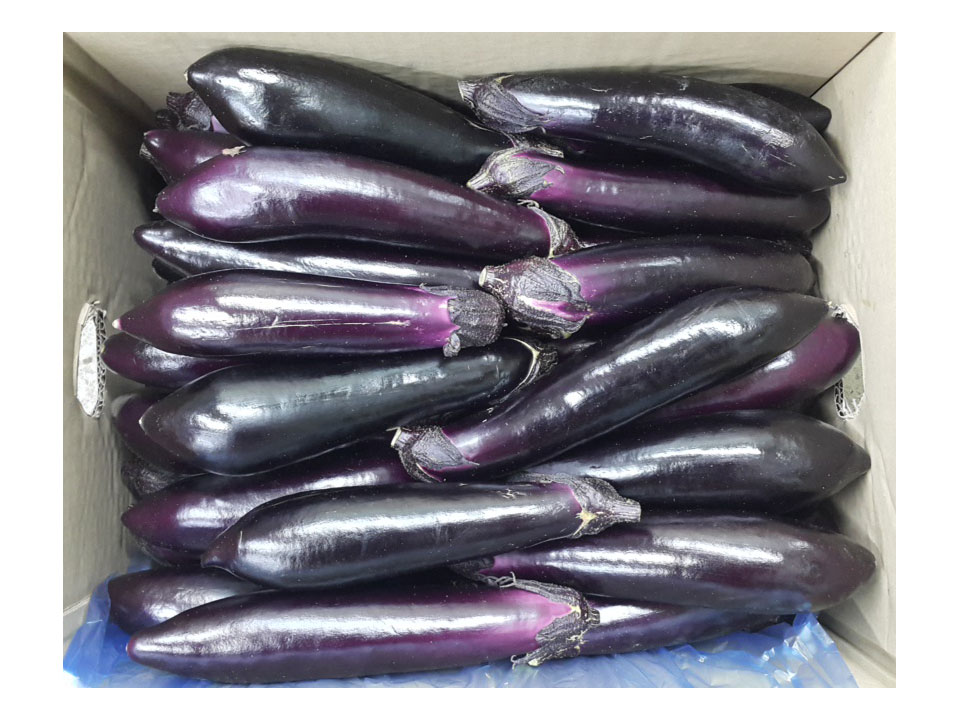 .농산)맛느타리버섯/box