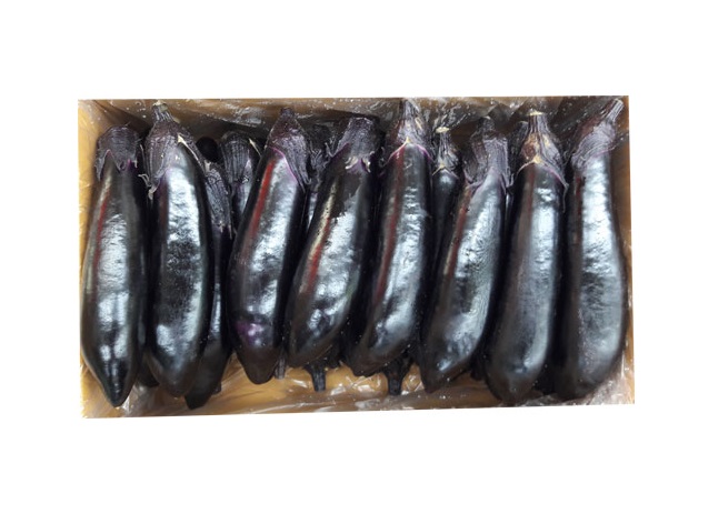 .농산)대파-특/단