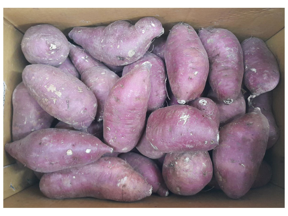 고구마(왕)/박스