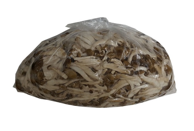 만가닥버섯(2kg)