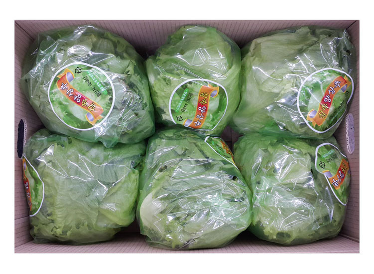 국산양상추(6수)/박스