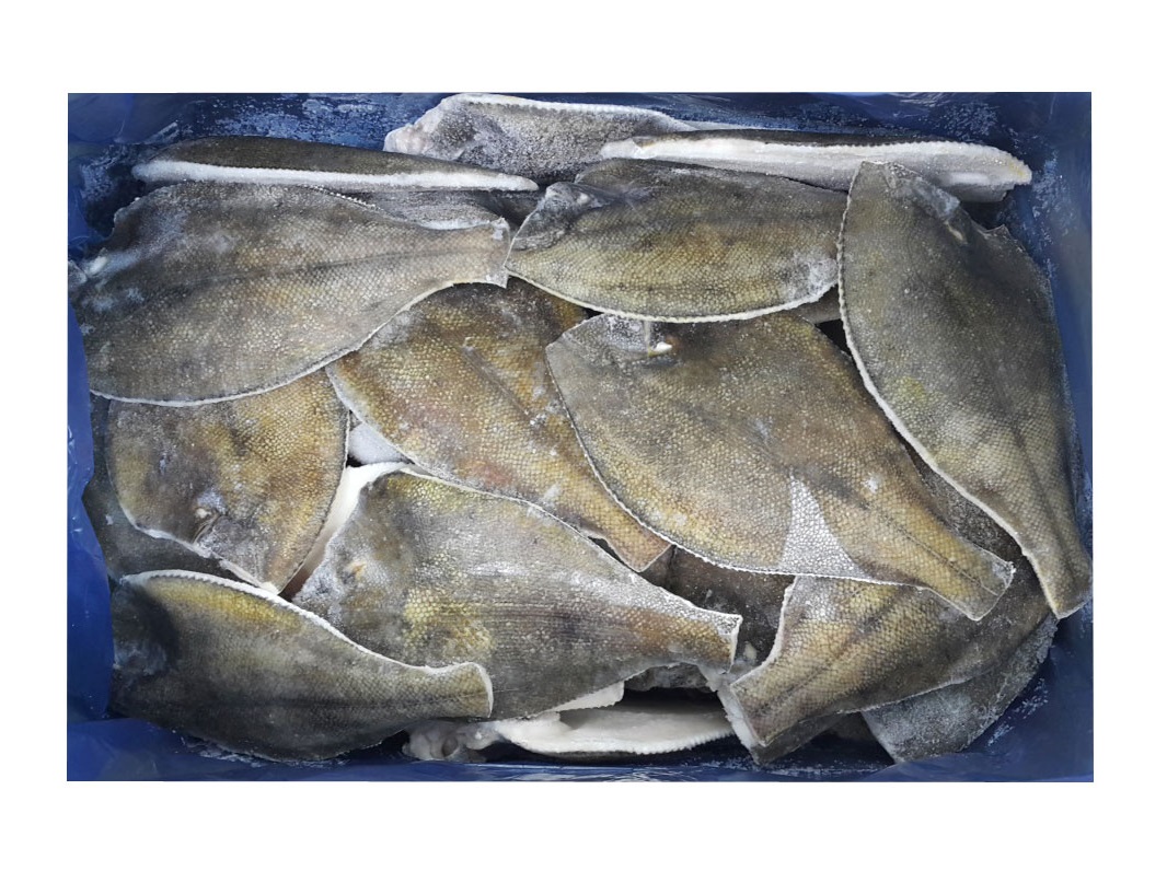 손질가자미200/300-box