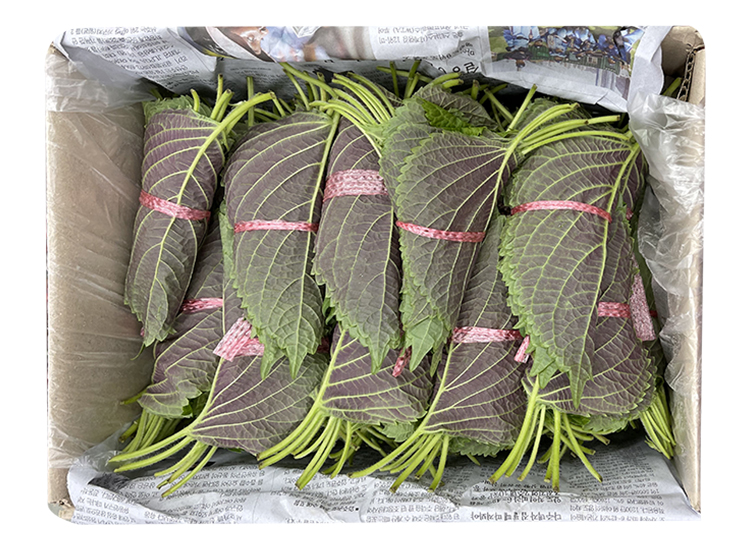 .농산)깻잎/box