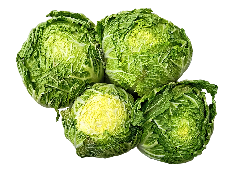 .농산)배추1단(4포기)