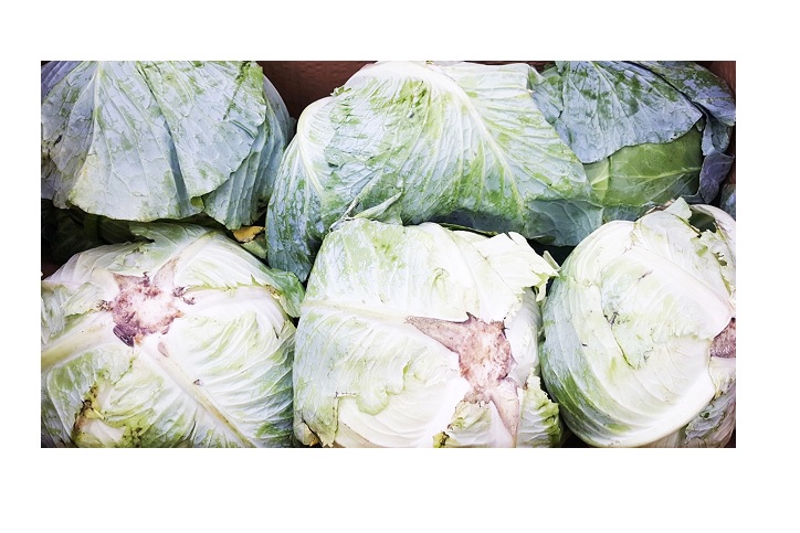 .농산)수입양배추/box