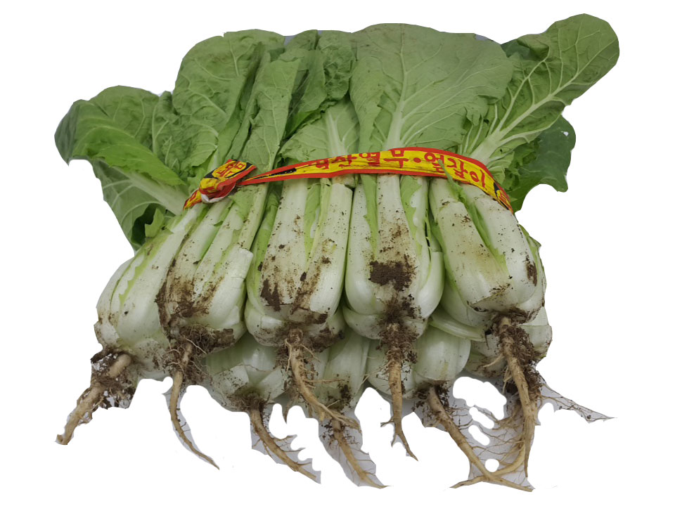 .농산)단배추/단