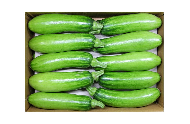 .농산)애호박-특/box