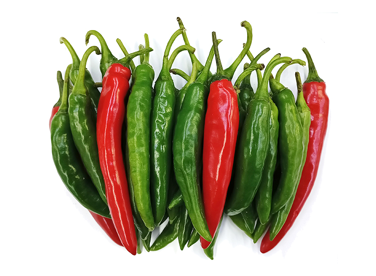 .농산)청량고추-반홍(상)1봉