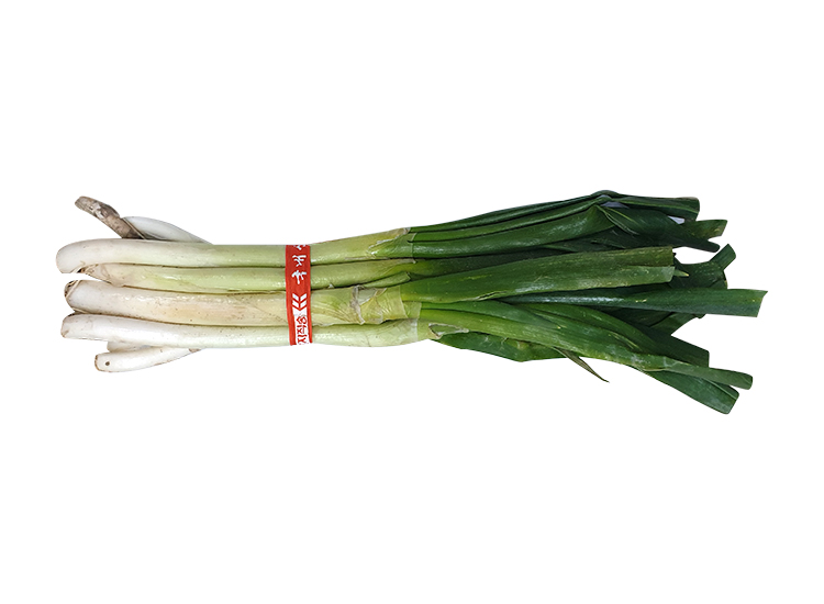 .농산)대파-특/단