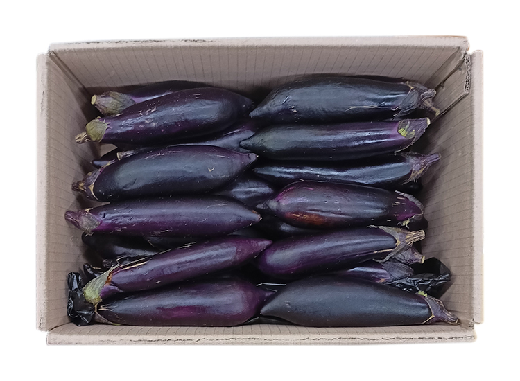 .농산)가지5kg/box