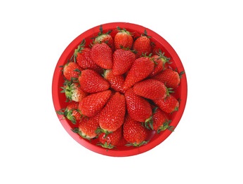 딸기(왕특)한다라이