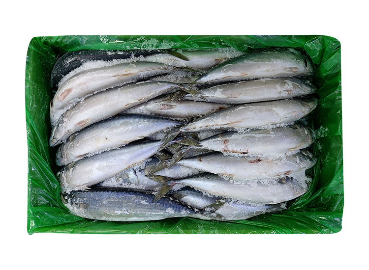 고등어300/400-box.