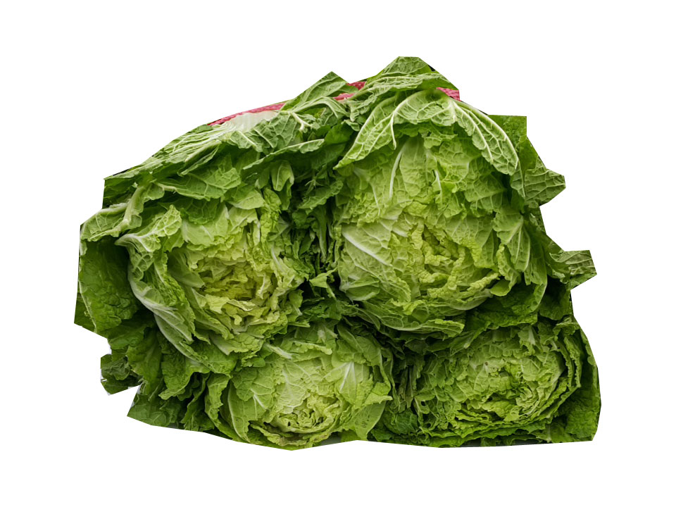 .농산)배추1단(4포기)