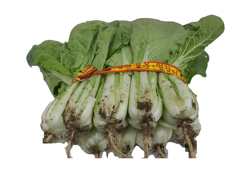 .농산)단배추/단