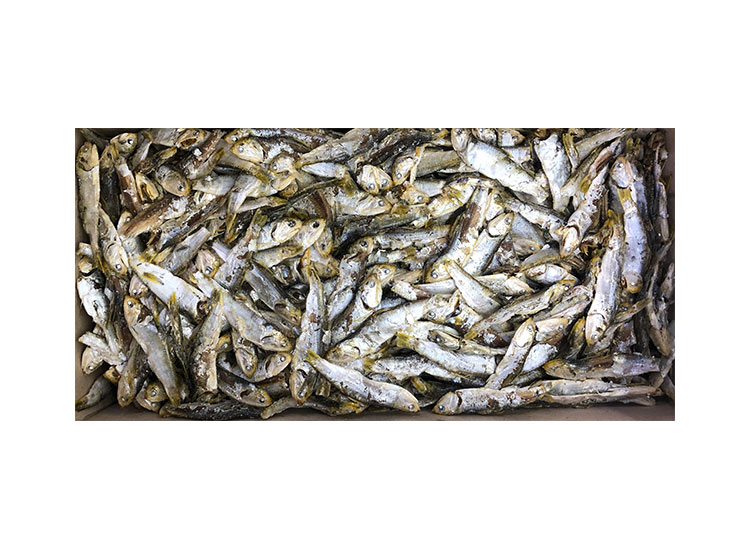 고노리다시11500