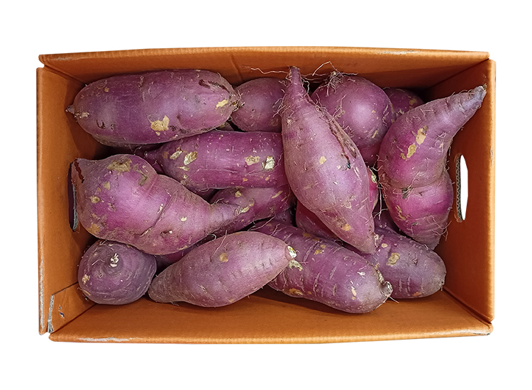 .농산)고구마/1.5kg