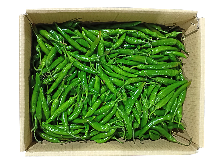 .농산)청량고추-특/box