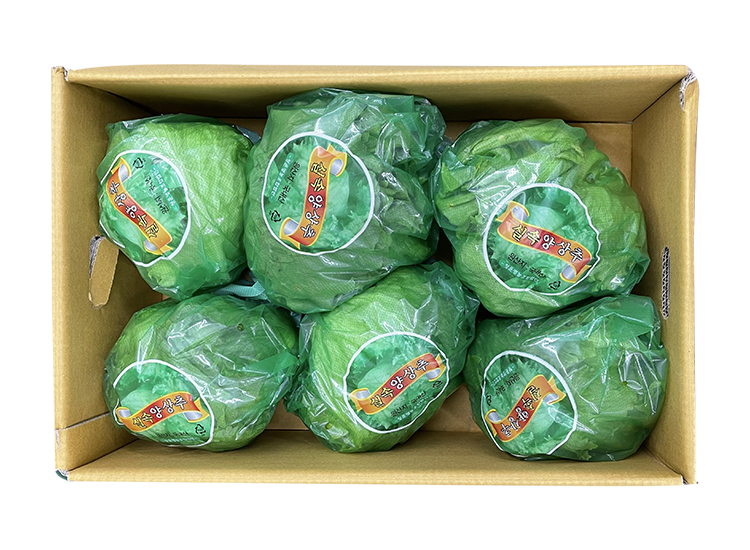 .농산)양상추/box